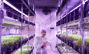 Advancing Toward a Greener AI Ecosystem