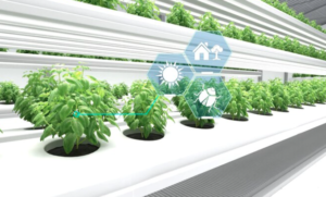 Innovative Cooling Technologies for Data Centers