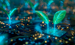 Overcoming Challenges with Practical Solutions