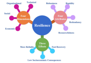 RESILIENCE