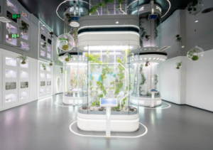 Renewable Energy in AI Infrastructure