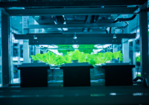 The Future of Sustainable AI and Data Centers