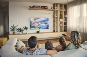Households, lodgers and shared homes need separate checks