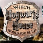 harry potter house quiz