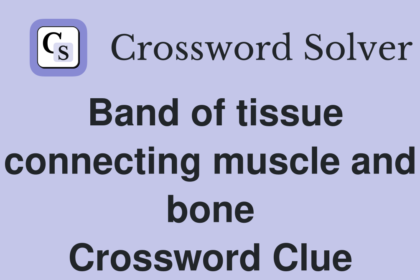 band of tissue connecting muscle and bone nyt crossword clue