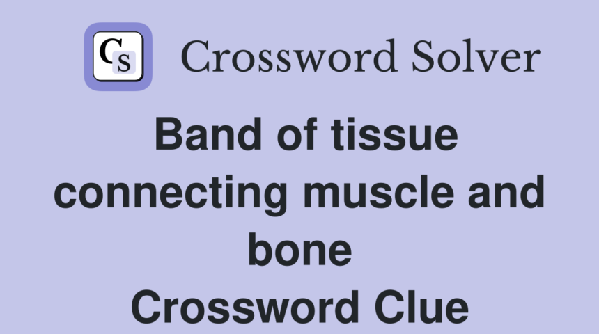 band of tissue connecting muscle and bone nyt crossword clue