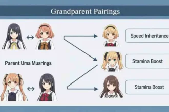Uma Musume Affinity Calculator