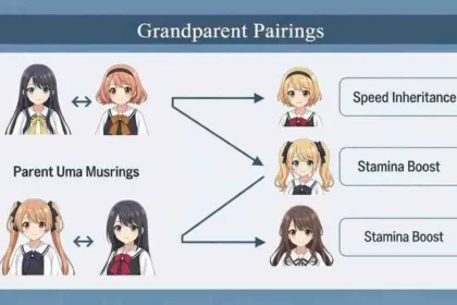 Uma Musume Affinity Calculator