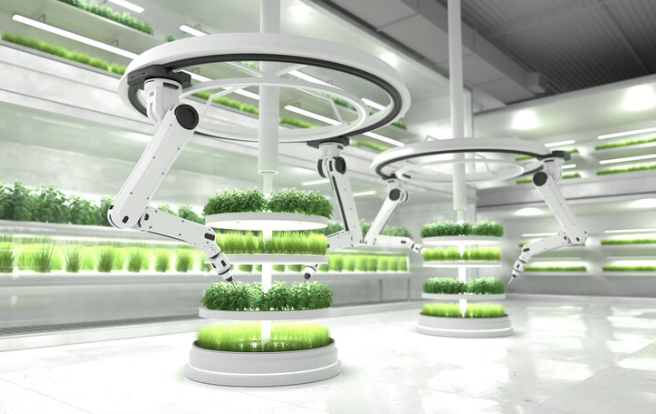 Green AI and Sustainable Data Centers