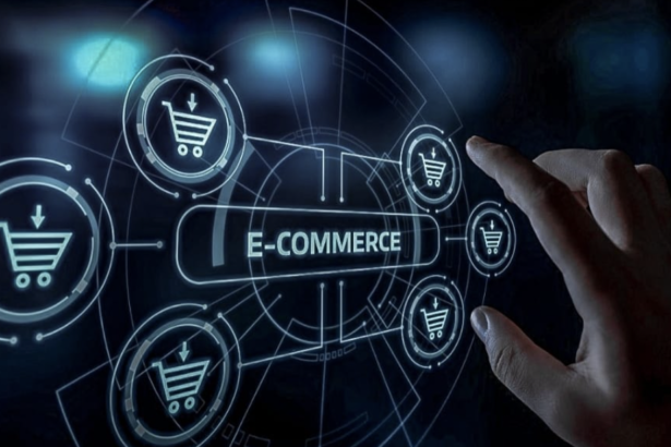 Servantful The Logistics Backbone Powering Tomorrow's E-Commerce Empires